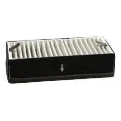 Filtr węglowy Alapure odpowiedni dla Inventum KB80 (2 szt.)
