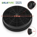 Alapure Koolstoffilter geschikt voor Electrolux MCFE12 / 9029800571 (2 St.)