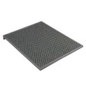 Electrolux Koolstoffilter Luchtreiniger Well A5 / Well A7