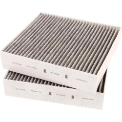 Filtr węglowy Gaggenau 11058753 / 11028106 / AA410110 (2 szt.)