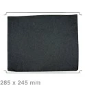 Alapure Longlife Koolstoffilter geschikt voor Bauknecht Type 31 / AMH290