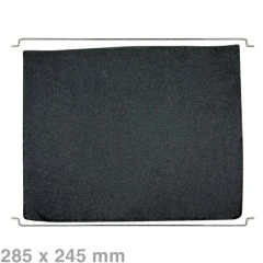 Alapure Koolstoffilter geschikt voor AEG Type 31 / 9029793842