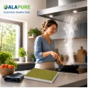 Filtr węglowy Alapure CleanAir Plus pasujący do modeli Bosch 11034226 / 17004035 / DIZ1JX1B6 (3 szt.)