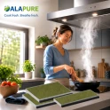Alapure – pasuje do filtra węglowego Bosch CleanAir Plus DWZ1BK1I6 / 17008032 (3 szt.)