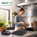 Filtr węglowy Alapure odpowiedni dla AEG 50288593002 Typ F16