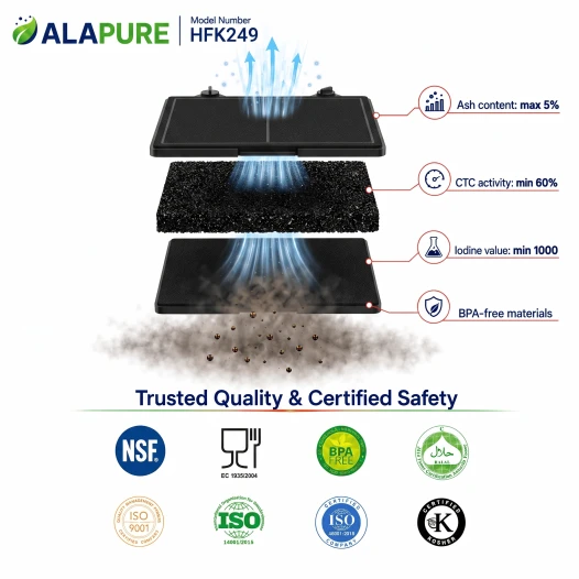 Alapure Koolstoffilter geschikt voor Electrolux 50279032002