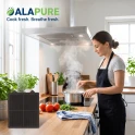 Alapure Koolstoffilter geschikt voor Electrolux 50279032002