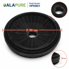 Filtr węglowy Alapure odpowiedni dla AEG ECFB02 / 89992564 / Model190