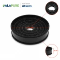 Filtr węglowy Alapure pasujący do Brandt CHF185 / 481281728938 (2 szt.)