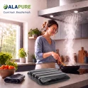 Filtr węglowy Alapure pasujący do modelu Sauter 71X0704 (2 szt.)