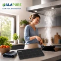 Filtr węglowy Alapure pasujący do modelu Electrolux 4055304036
