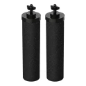 Alapure Filter 3-1 geschikt voor Berkey Fluoride filter (2 stuks)
